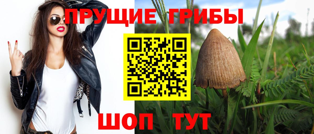Псилоцибиновые грибы мухоморы  купить  сайты  Строитель  Вход с VPN 