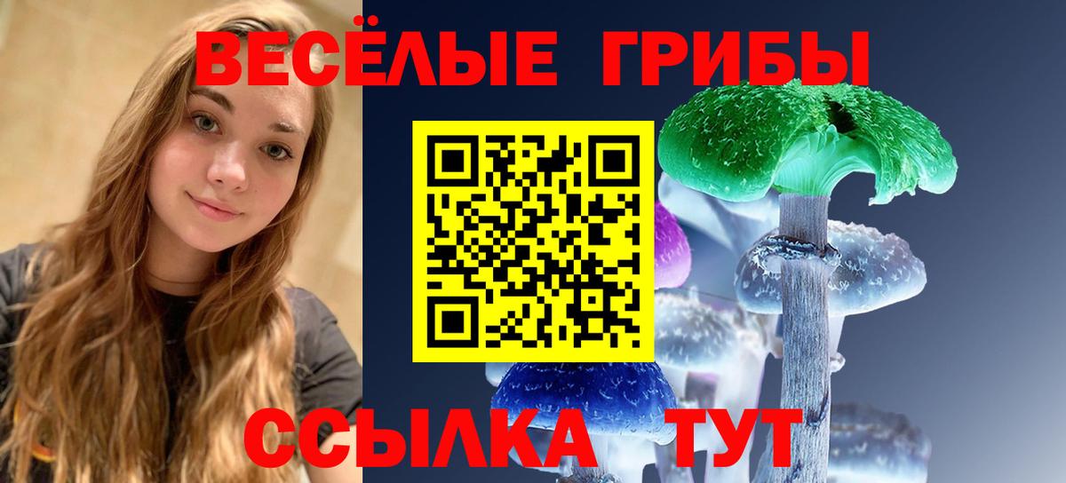 Псилоцибиновые грибы прущие грибы Строитель